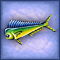 Bodenständiger Kammfisch