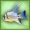 Linarius