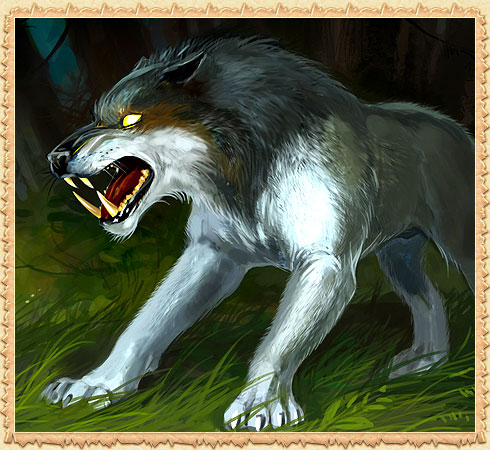 Junger Waldagor-Wolf