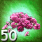 Verlorene Wette – Siege 50