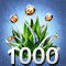 Alva die Brave – 1.000