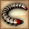 Ringwurm