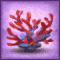 Rote Koralle
